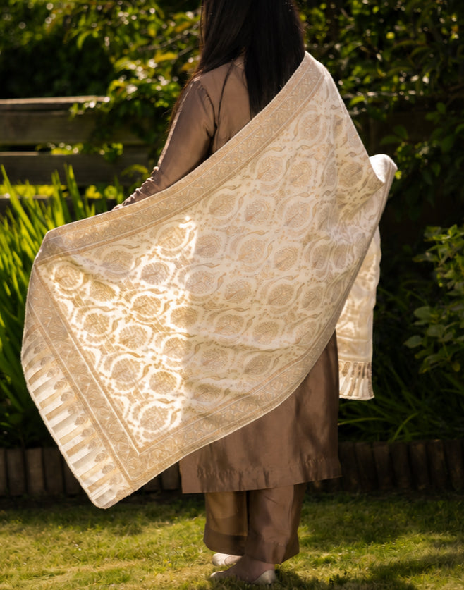Noor-e-Zari Kani Stole image 1