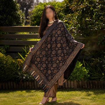 Shab-e-Zar Kani Stole image 0